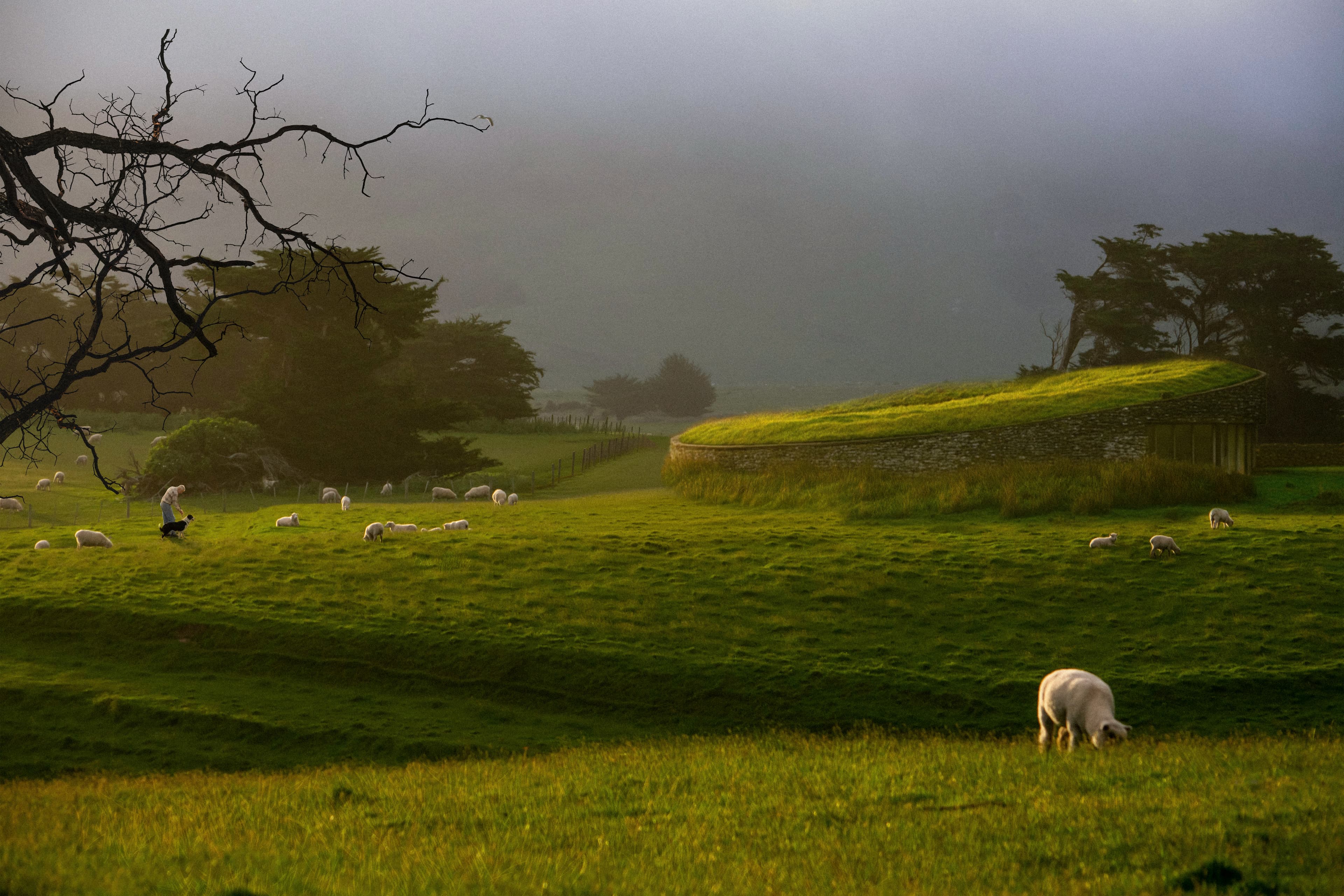 This was made with AI